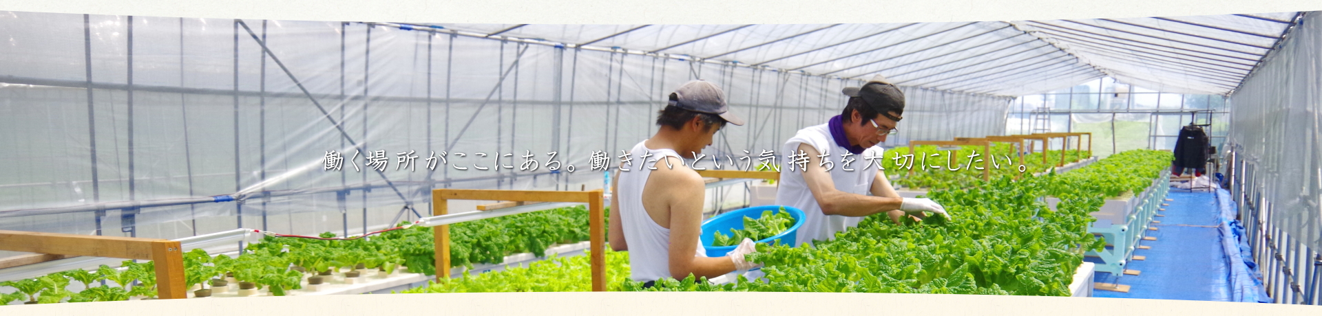 就労継続支援・グループホーム・生活介護サービスを提供